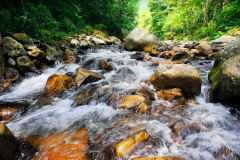 市面上供水方式有五种，你更喜欢那种？我的选择是优质桶装水。