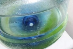 桶装水长青苔了还可以喝吗？