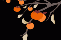 饮用水常见问题及处理方法