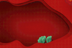 新闻 | 东城区：扩大《条例》宣传覆盖面和影响力