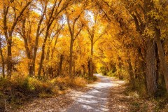 秋季喝水大法，巧妙应对秋燥