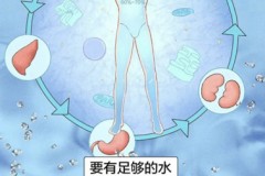 水喝得越多越好吗？