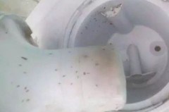 饮水机水清洗、其实超简单！