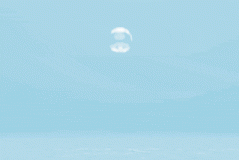 聚焦 | 华神·蓝光助力第三届华西少儿艺术节暨新春联欢盛典顺利举办