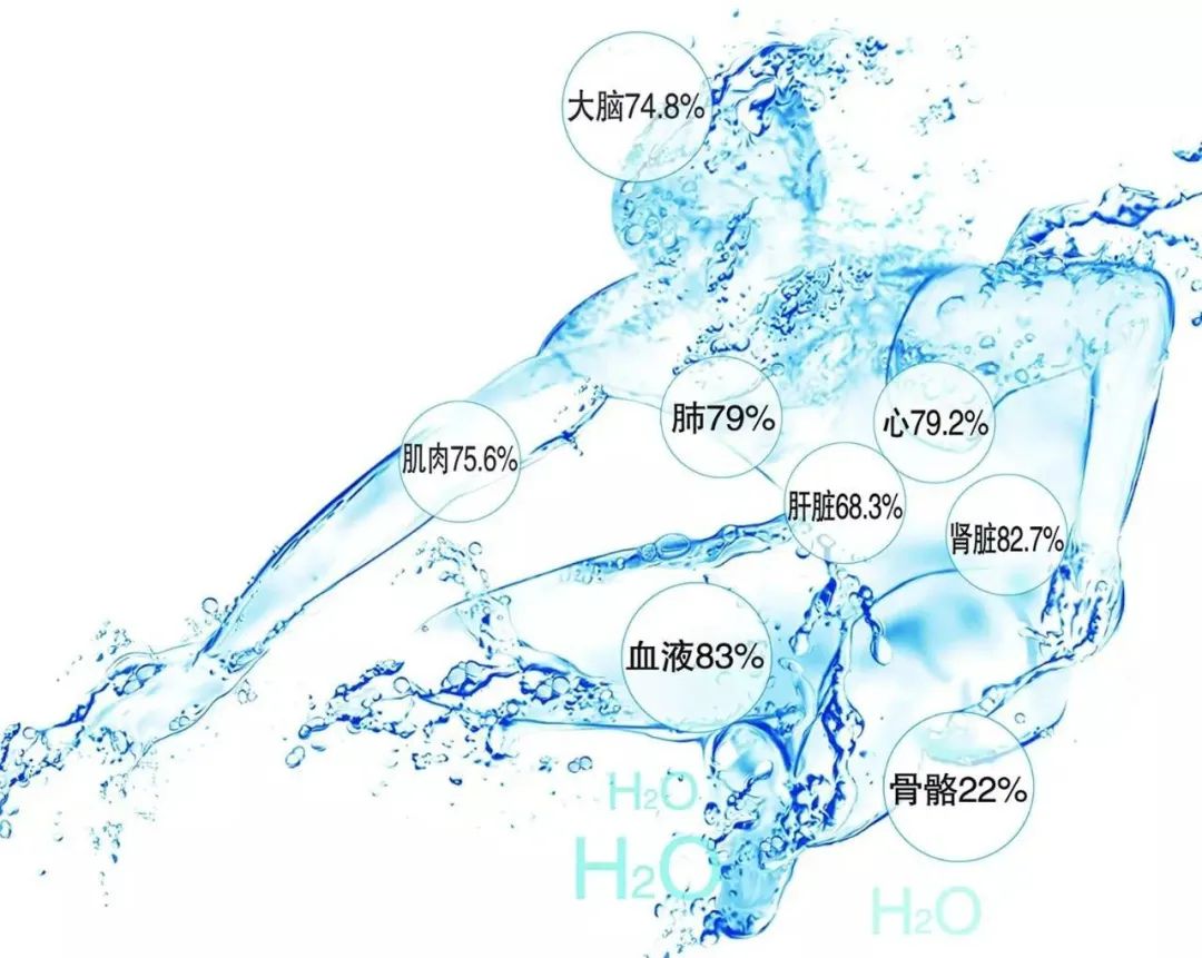 补水要及时 选择要正确 第2张 补水要及时 选择要正确 第2张