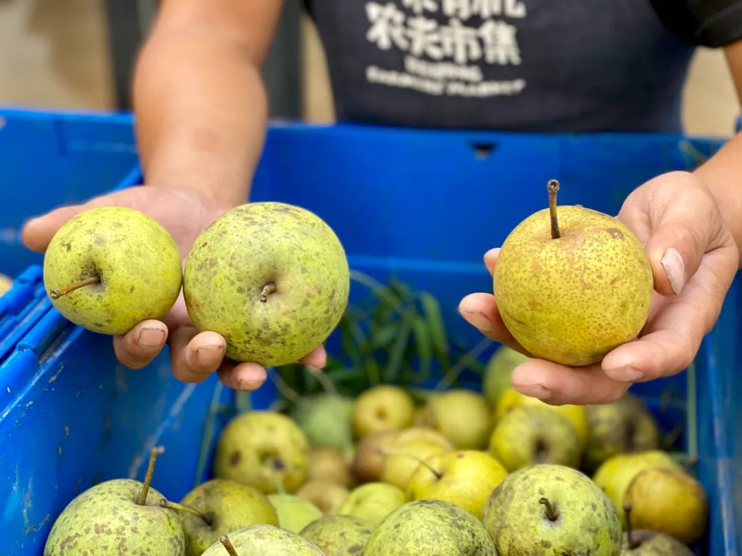 周日一起去亮马桥买个菜! 亮马桥 第21张 周日一起去亮马桥买个菜! 亮马桥 第21张