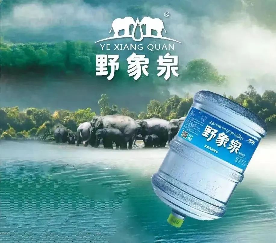 挑选桶装水的保姆级教程请收好! 桶装水 第1张 挑选桶装水的保姆级教程请收好! 桶装水 第1张