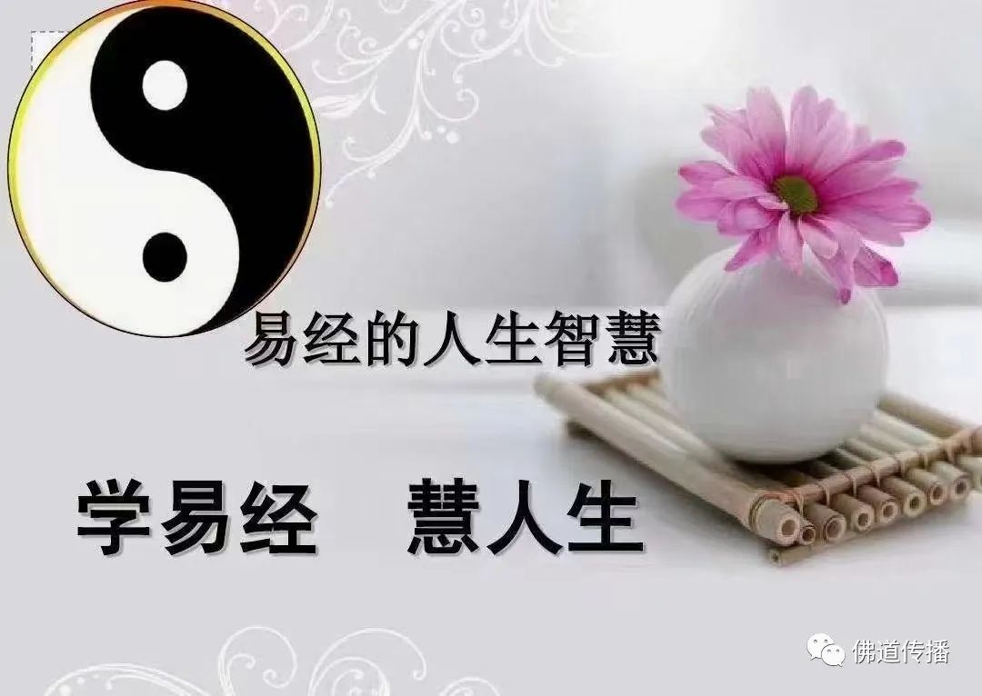 如何预防桶装水长青苔? 第3张 如何预防桶装水长青苔? 第3张