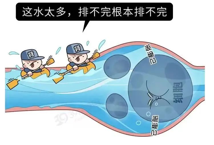 水喝得越多越好吗? 第2张 水喝得越多越好吗? 第2张