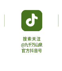 九千万同行丨第1届中国-东盟徒步露营大会 第25张 九千万同行丨第1届中国-东盟徒步露营大会 第25张
