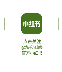 九千万同行丨第1届中国-东盟徒步露营大会 第22张 九千万同行丨第1届中国-东盟徒步露营大会 第22张