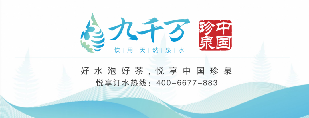 九千万同行丨第1届中国-东盟徒步露营大会 第29张 九千万同行丨第1届中国-东盟徒步露营大会 第29张