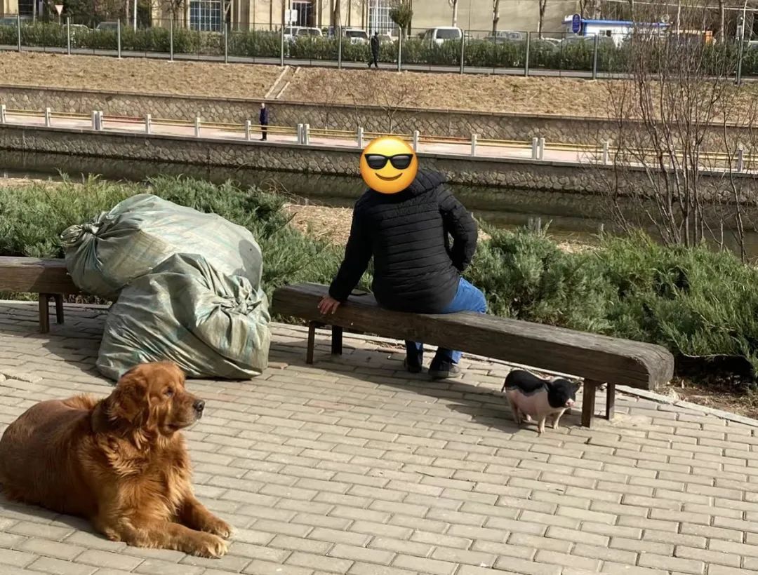 北漂几年,才能住懂酒仙桥 第5张 北漂几年,才能住懂酒仙桥 第5张